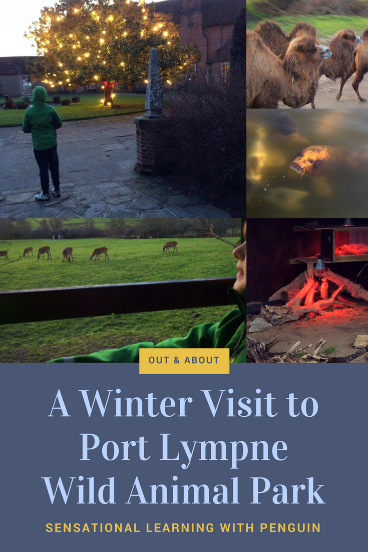 A Winter Visit to the Wildlife Park - Port Lympne Wild Animal Park #Safari #Conservation #Dinosaur Forest #Lions #Bactrian Camels #Deer and many other Animals! Days Out in Kent - Sensational Learning with Penguin