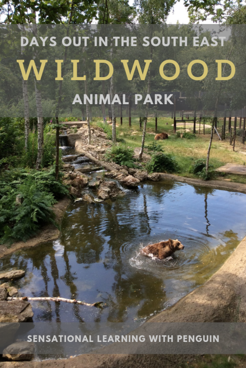 Days Out in the South East: Wildwood Trust Animal Park #daysoutwithkids #exploretolearn #wildlife #Britain #homeschooling #animalparks