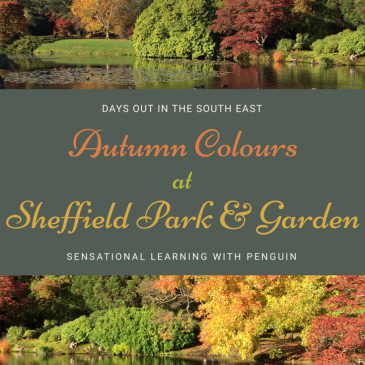 Autumn Colours at Sheffield Park & Garden, A Sensory Rich Day Out in Sussex! #NationalTrust #ExploringNatureWithChildren - Sensational Learning With Penguin